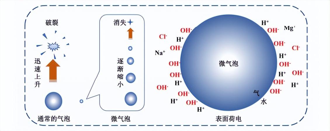 科力迩