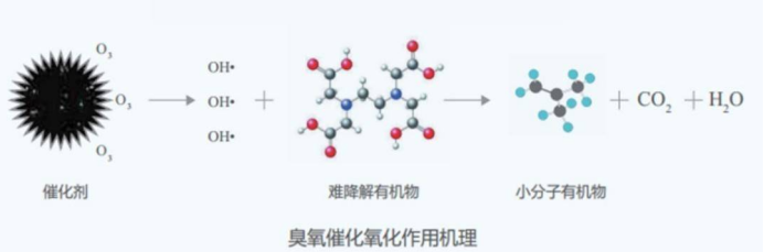 科力迩